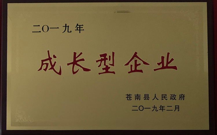 2019成長型企業(yè)-蒼南縣.jpg